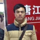 相聚在梧桐树下